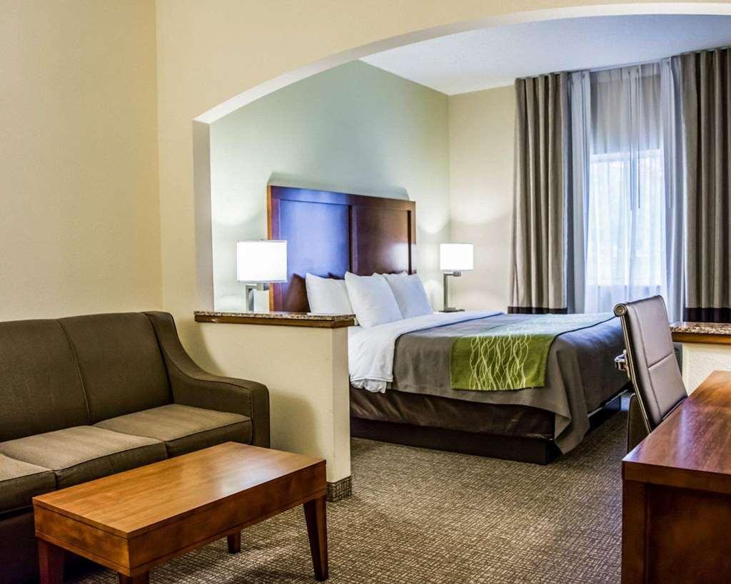Comfort Inn Fort Myers Northeast Pokój zdjęcie